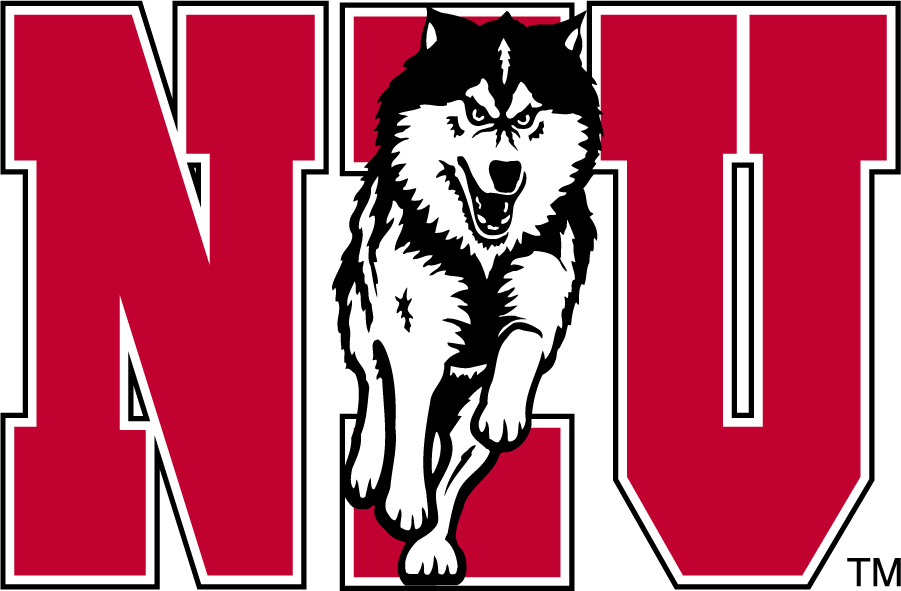 Northern Illinois Huskies 1988-2001 Alternate Logo diy iron on heat transfer